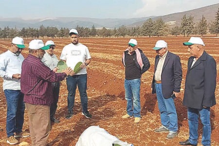 “أكساد” باشرت بنشر زراعة الصبار وأنشأت حقل أمهات في كفردان