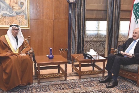 بري التقى بن فرحان وسفير الإمارات واطلع على برنامج عمل «الاسكوا»