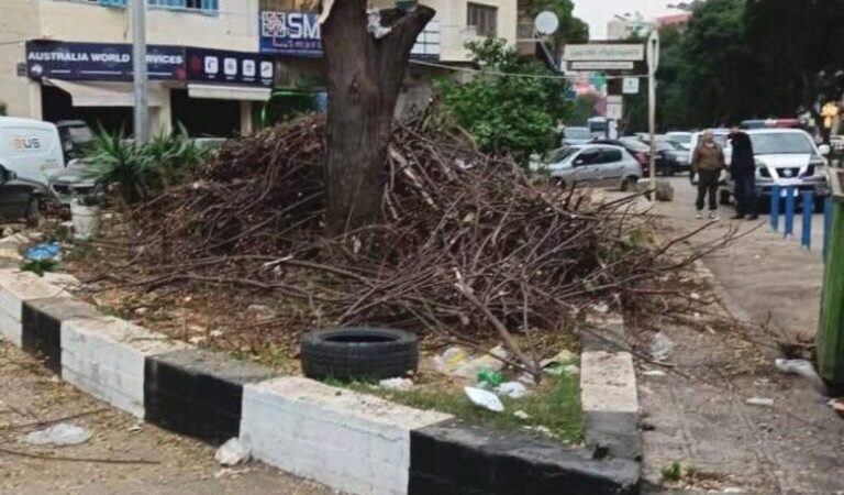بلدية طرابلس تنظم محضر ضبط بحق مخالف قطع شجرة وتوقيف متعهّد أشغال في القبة عن العمل