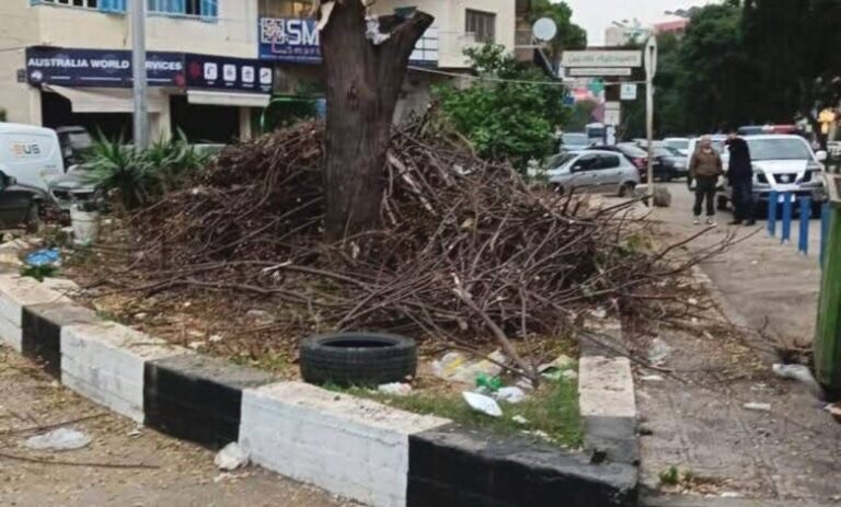 بلدية طرابلس تنظم محضر ضبط بحق مخالف قطع شجرة وتوقيف متعهّد أشغال في القبة عن العمل