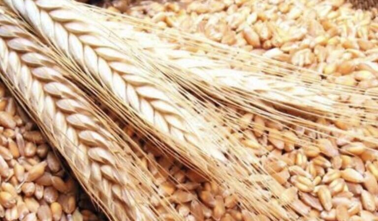 المصري يطمئن: لا أزمة رغيف في لبنان ويتساءل: أين هم الغيارى على حقوق العمال؟