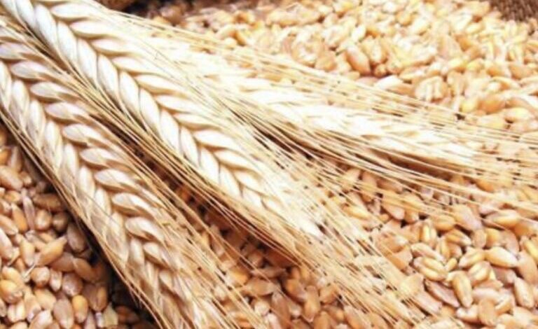 المصري يطمئن: لا أزمة رغيف في لبنان ويتساءل: أين هم الغيارى على حقوق العمال؟