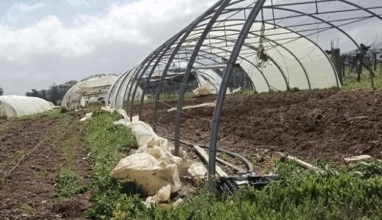 مزارعو البيوت البلاستيكيّة: إرادة اللبنانيّين لم تتأثّر بالضغوط