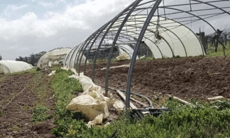 مزارعو البيوت البلاستيكيّة: إرادة اللبنانيّين لم تتأثّر بالضغوط