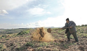 التقرير الثالث حول تداعيات الاعتداءات على الزراعة في لبنان: تصاعد الأضرار