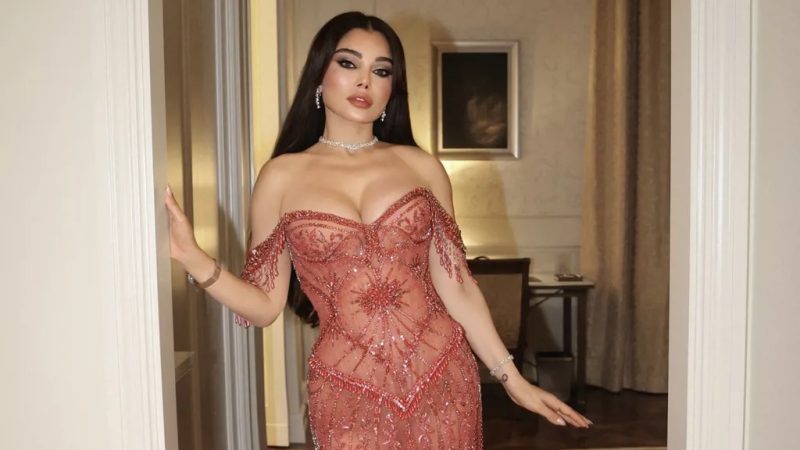 دعوى هيفاء وهبي ضد طبيب تجميل مستمرة في مصر