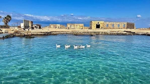 بيان صادر عن جمعية تراث طرابلس – لبنان