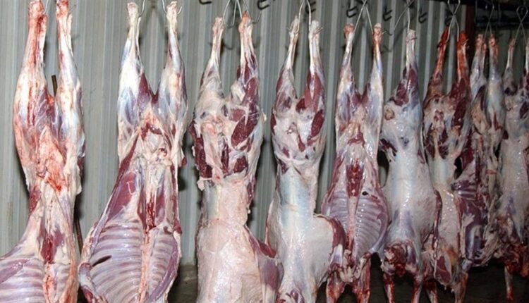 نقابة اتحاد القصابين وتجار المواشي تعترض على قرار إغلاق المَزارع حول المطار